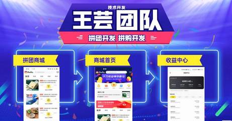 廣州拼購(gòu)商城模式 商城定制